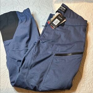 Dakine Purple Heather Cruiser 3L Pants. Unisex. NWT. Snow/Ski. Size Medium RECCO